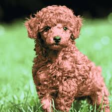 必一运动·(股份有限公司)官方网站